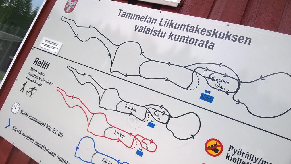 Tammela Villa Vuorenpaeae מראה חיצוני תמונה